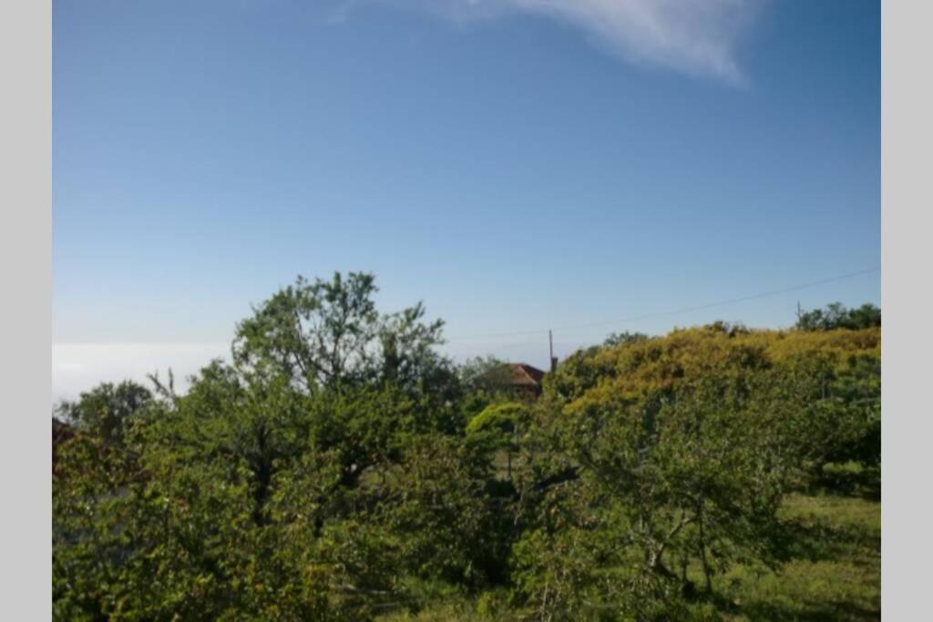 Casas Corea Puntagorda Dış mekan fotoğraf